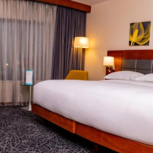 Hilton Deluxe Suite (King room)