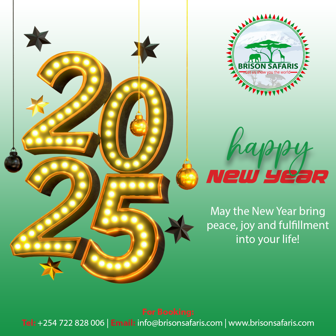 Happy New Year 2025