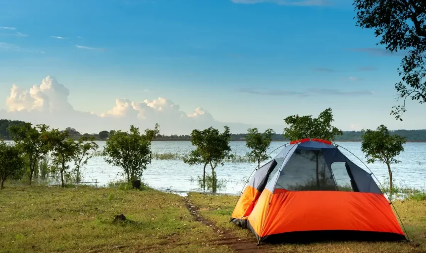 The Great Migration: Nature’s Most Spectacular Show