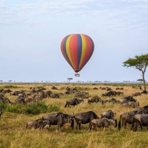 kenya-safaris kenya-safari-tours kenya-tour-packages kenya-travel-packages kenya-holidays best-safari-in-kenya affordable-kenya-safaris luxury-kenya-safari-packages kenya-wildlife-tours adventure-safaris-kenya kenya-beach-and-safari-holidays private-kenya-safari-tours tailor-made-safaris-kenya kenya-cultural-tours guided-tours-kenya