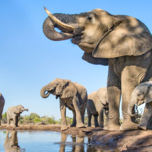 6-Day Nairobi → Amboseli → Tsavo West → Tsavo East Safari