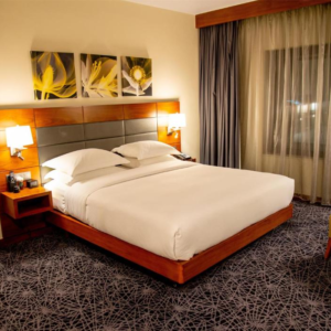 Hilton Standard Room (King room)