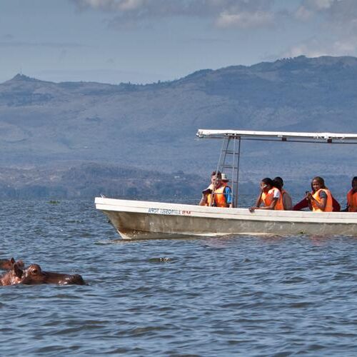 Lake Naivasha Day Trip