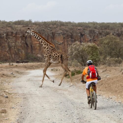 Hell’s Gate Cycling Safari & Lake Naivasha